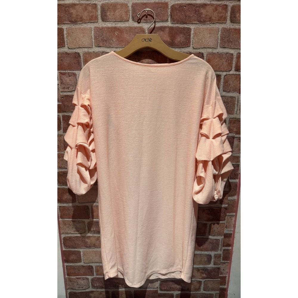 Gianni Bini Womens XS Ruffle Long‎ Sleeve Casual Peach Blouse Classic Modern